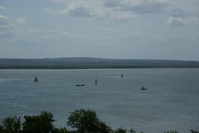 DSC_9157 (Large).JPG